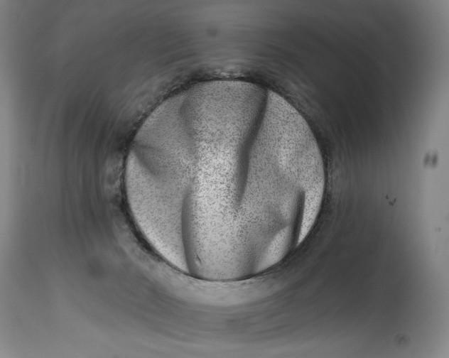 X0000115010030200911161611