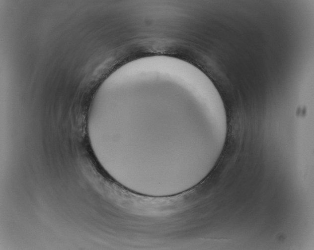 X0000115010031200911161611