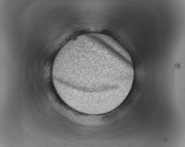 X0000115010032200911161611