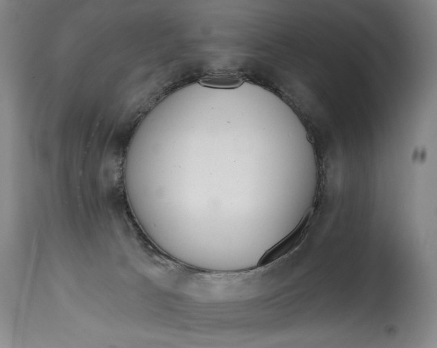 X0000115010033200911161611