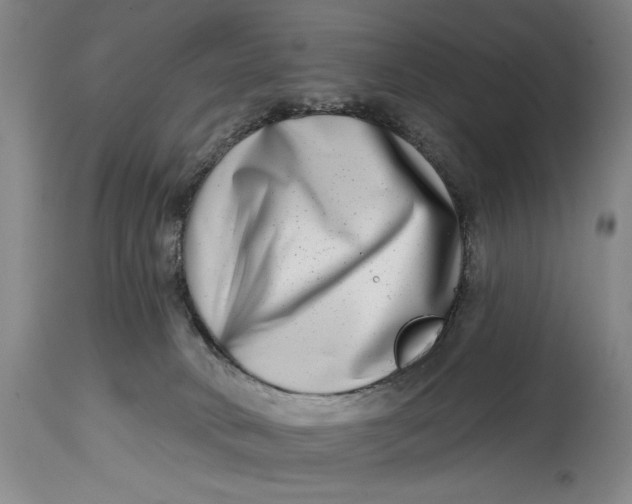 X0000115010034200911161611