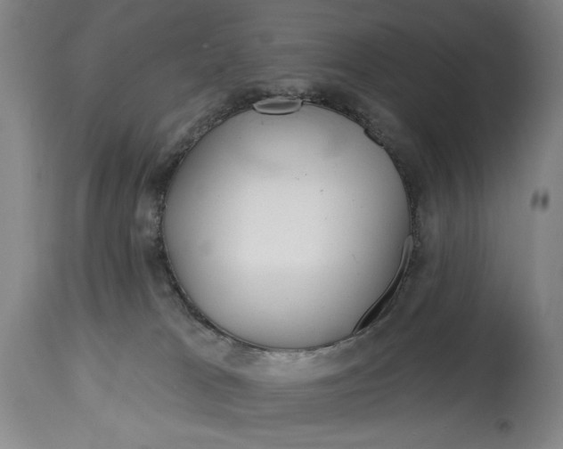 X0000115010037200911161611