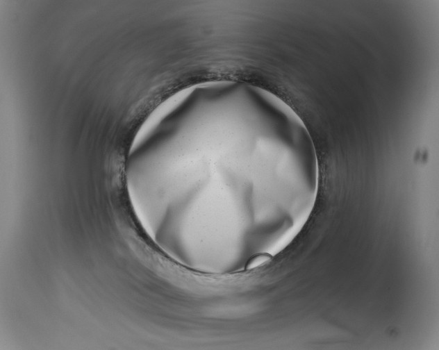 X0000115010038200911161611
