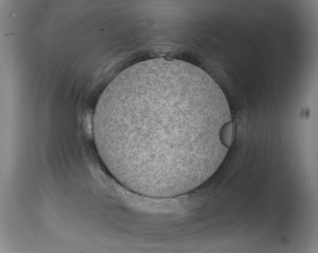 X0000115010042200911161611