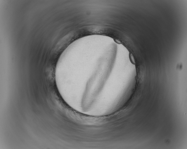 X0000115010044200911161611