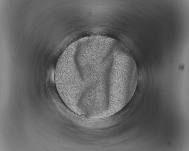 X0000115010046200911161611