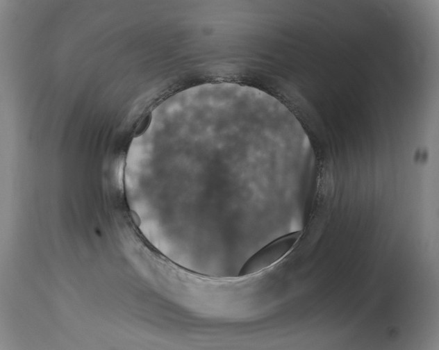 X0000115010047200911161611