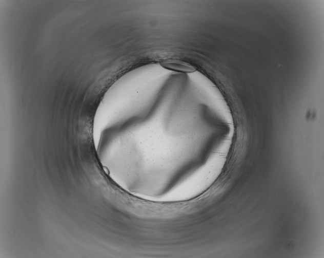 X0000115010048200911161611