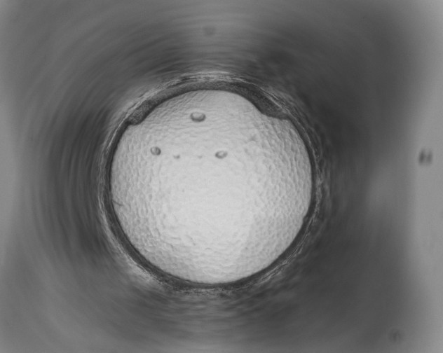 X0000115010049200911161610