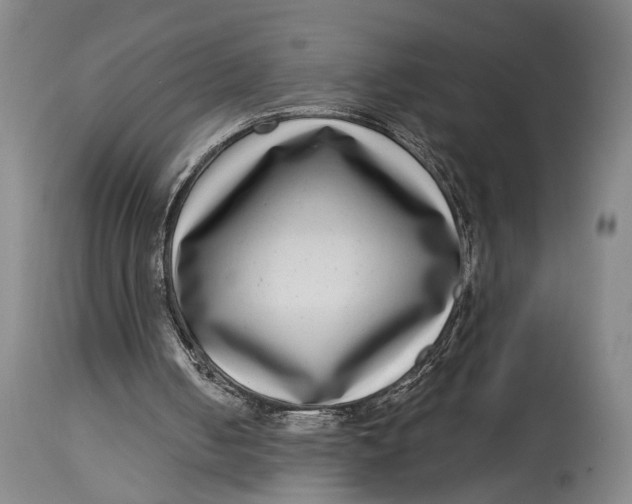 X0000115010050200911161610