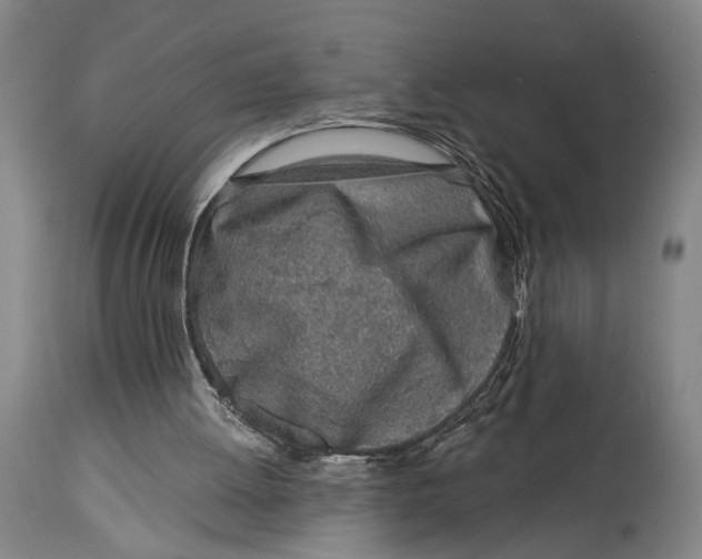 X0000115010052200911161610