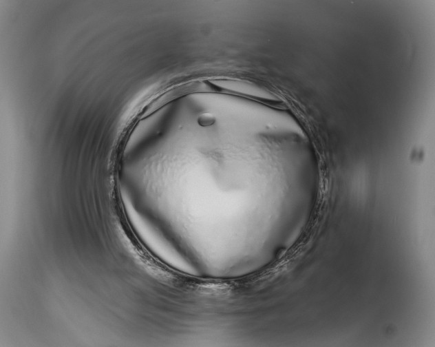 X0000115010053200911161610