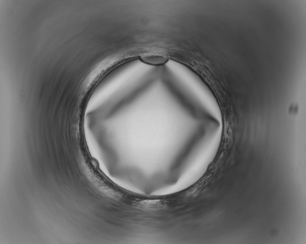 X0000115010054200911161610