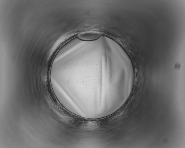 X0000115010056200911161610