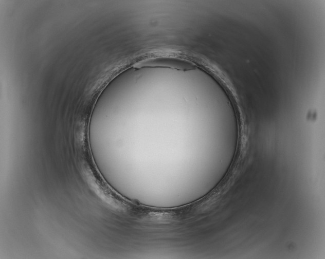 X0000115010057200911161610