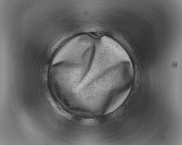 X0000115010058200911161610