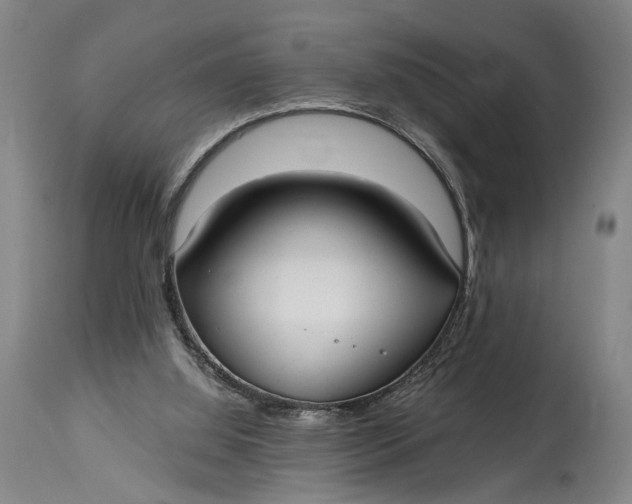 X0000115010060200911161610
