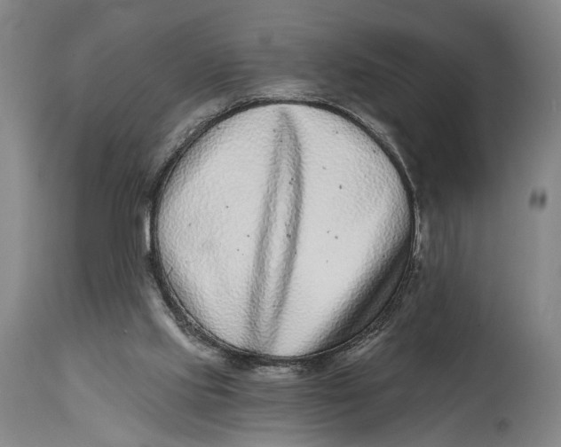 X0000115010061200911161610