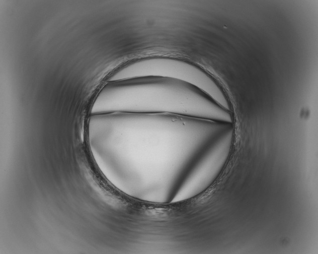 X0000115010062200911161610