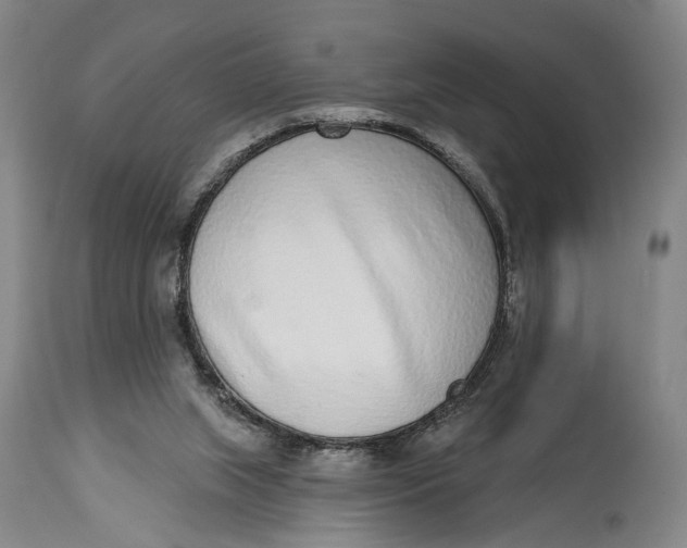 X0000115010063200911161610