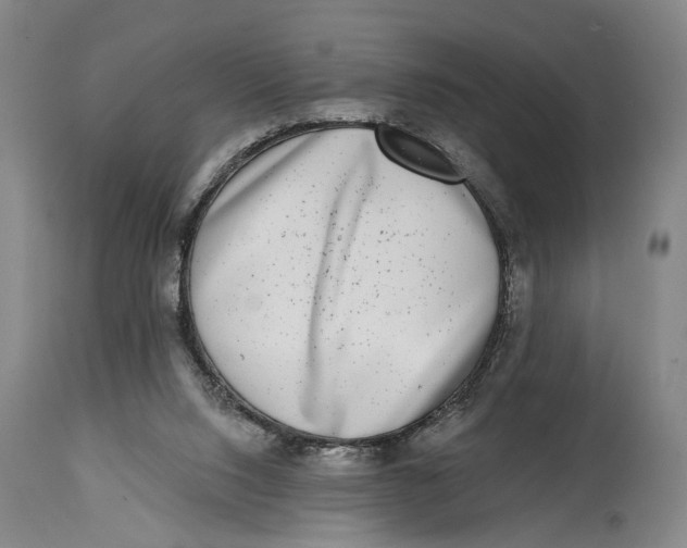 X0000115010064200911161610