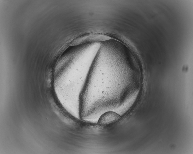 X0000115010065200911161610