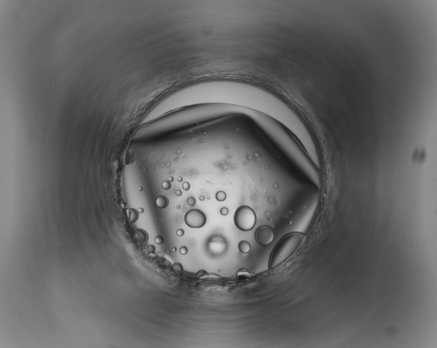 X0000115010066200911161610
