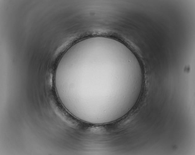 X0000115010067200911161610