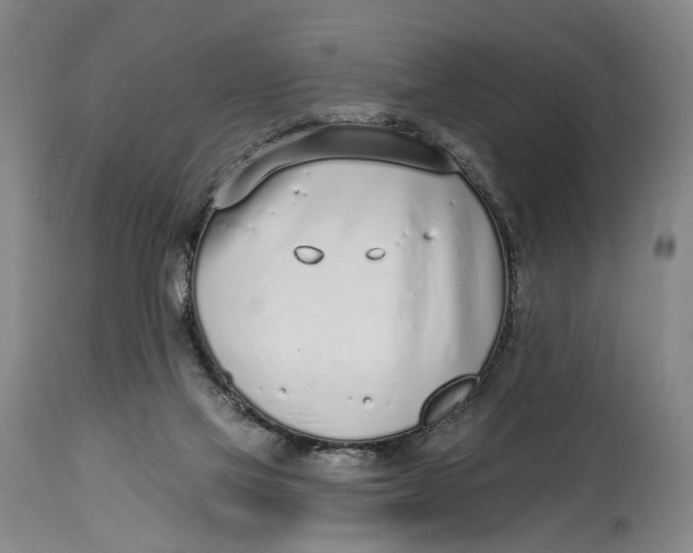 X0000115010069200911161610