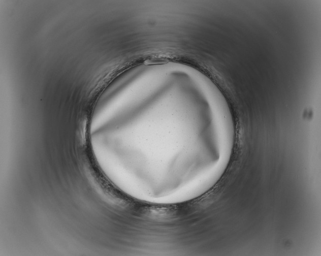X0000115010070200911161610
