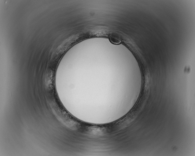 X0000115010073200911161610