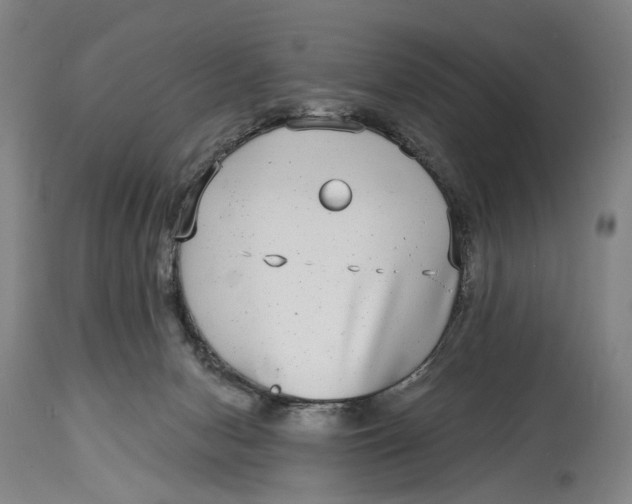 X0000115010078200911161610