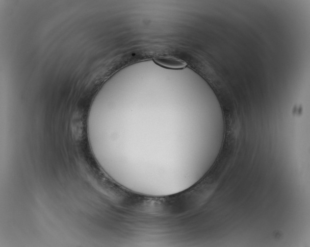 X0000115010080200911161610