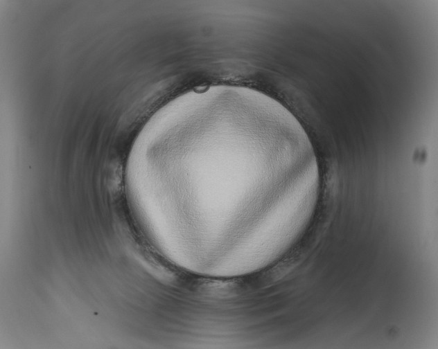 X0000115010081200911161610