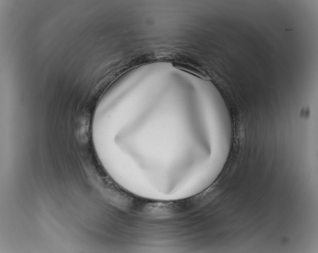 X0000115010082200911161610