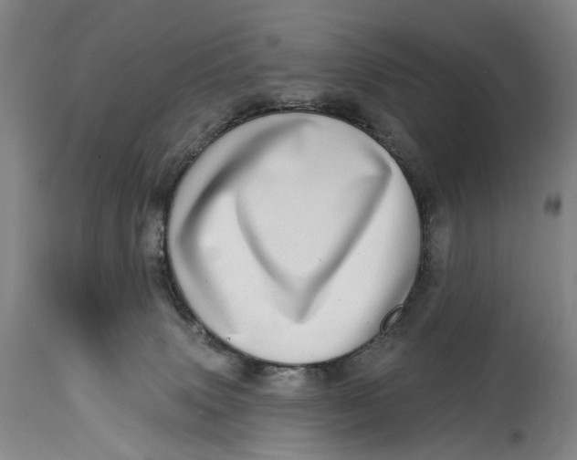 X0000115010083200911161610