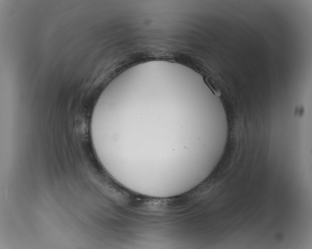 X0000115010084200911161611