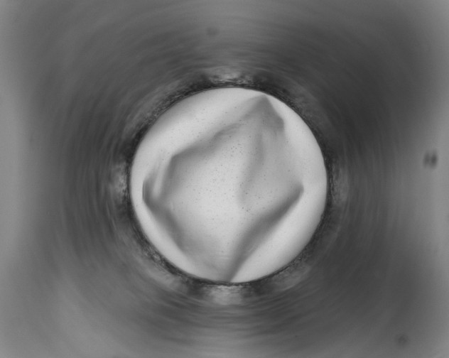 X0000115010085200911161611
