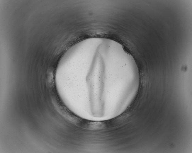 X0000115010087200911161611