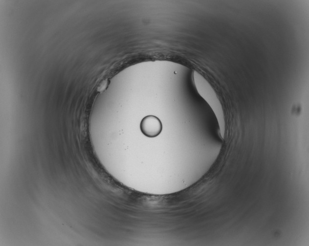 X0000115010088200911161611