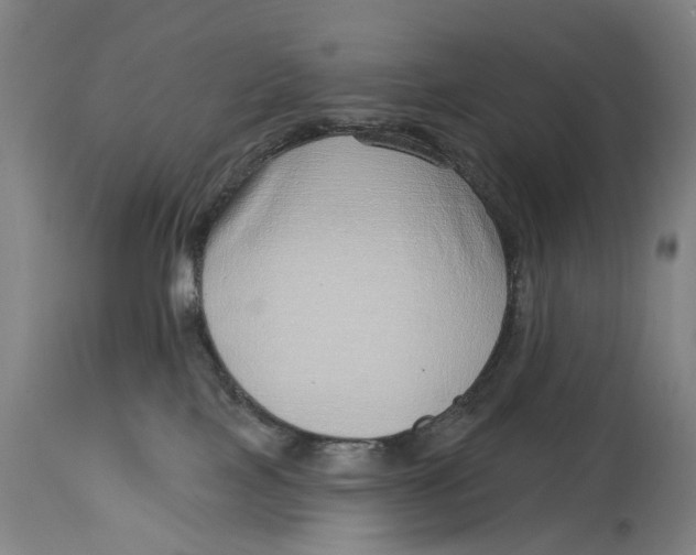 X0000115010089200911161611