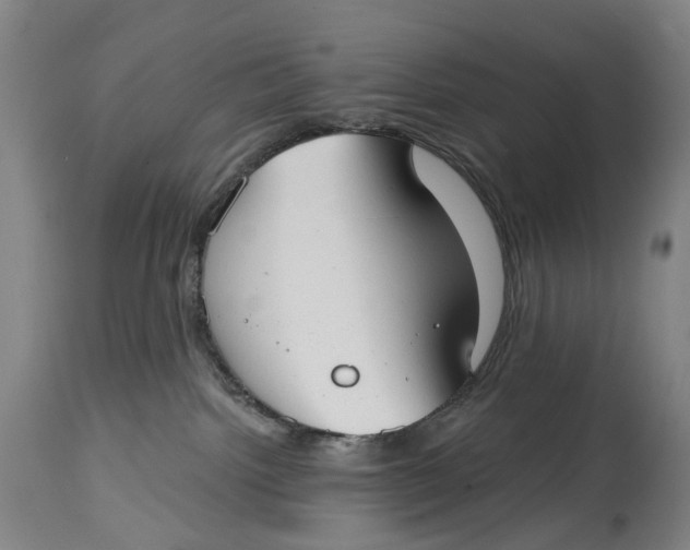 X0000115010092200911161611