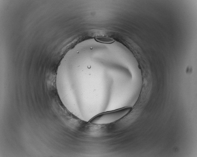 X0000115010096200911161611