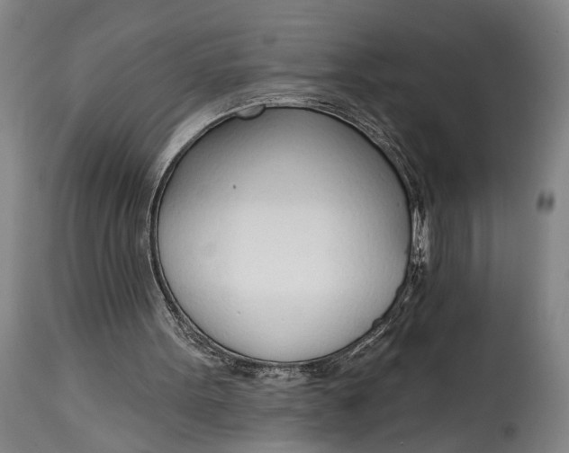 X0000115010099200911161610
