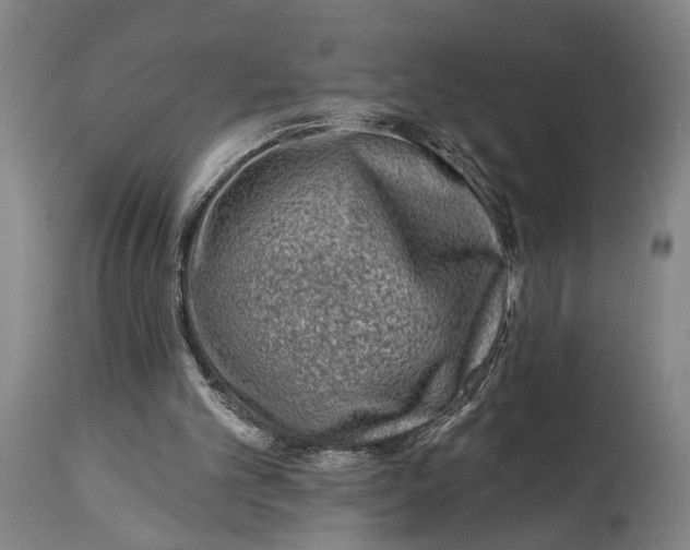 X0000115010101200911161610
