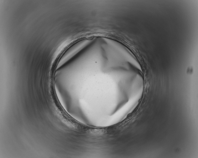 X0000115010102200911161610