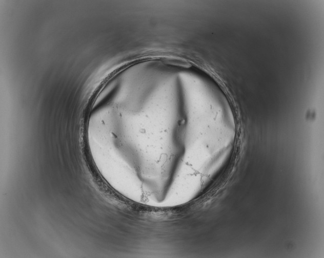 X0000115010103200911161610