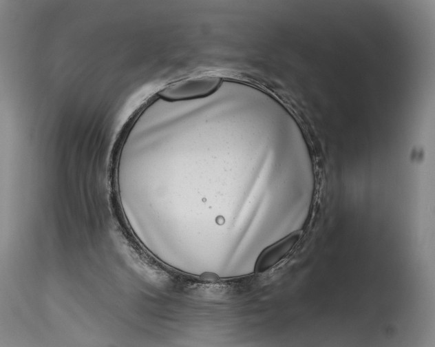 X0000115010104200911161610