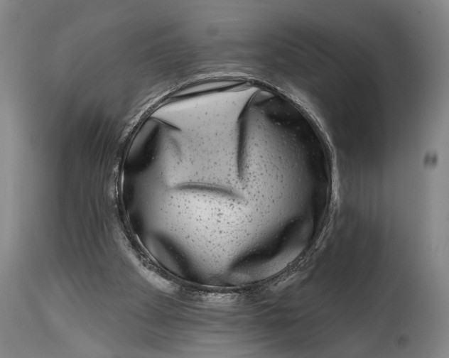 X0000115010105200911161610