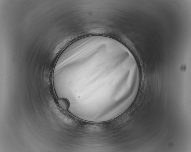 X0000115010106200911161610